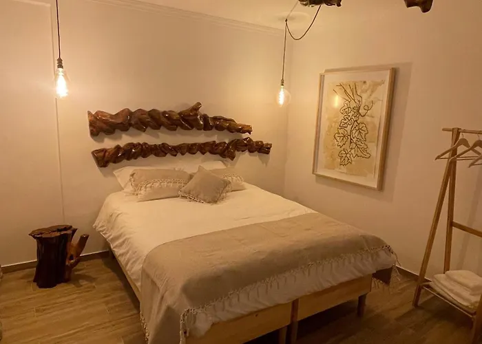 Cas'a Ferreirinha - Your In Douro 페소다레과